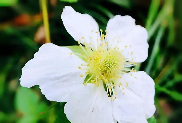 白羊座，你骨子里的火，压得住吗？2026年将亲手撕掉你所有标签