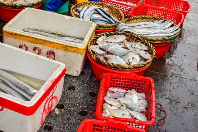 海鲜自由！美景自由！藏在半岛南端的宝藏海滨之城~