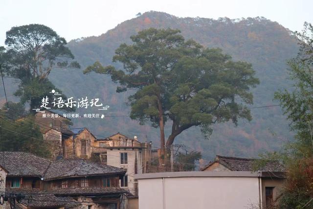 浙江宁波的桃源秘境，古枫香扼守村口成迎客盛景，玻璃栈道更好玩