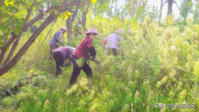 “双节”同庆！鄂州节日氛围拉满