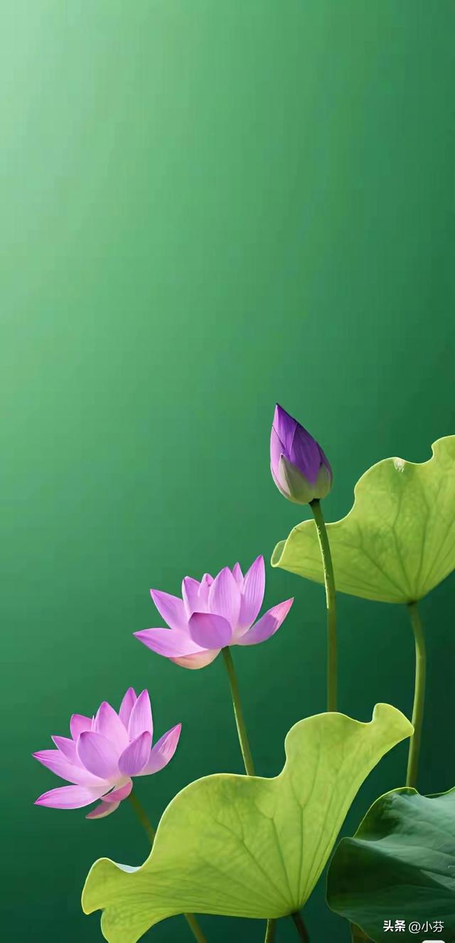 老了才明白：永远不要在儿媳妇面前，表现出这5种行为，切记