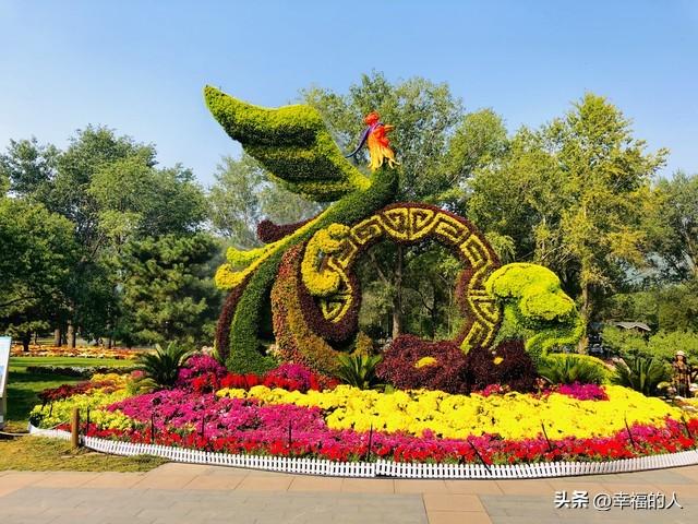 北京花展爆火！35万人挤爆CBD花海