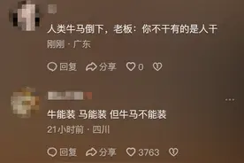 爆笑！马儿装死拒上班，打工人破防：这年头只有我是真“牛马”！图片