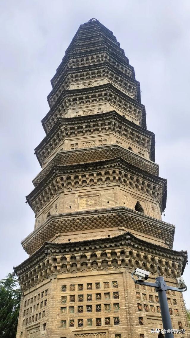 绿阳春拂柳蒙城 三千年文化朝圣