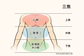 三焦不通，湿热源源不断！一个中成药，疏通三焦，轻松排湿热！图片