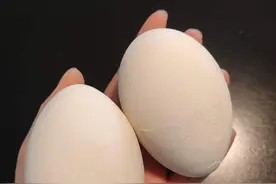 补交社保，需要准备哪些材料？图片