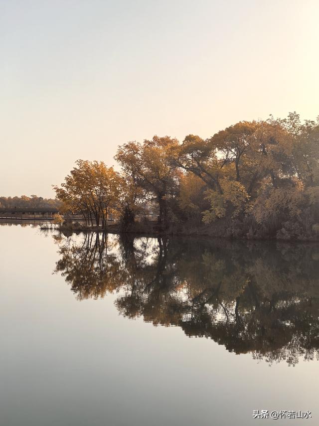 2025环南疆沙漠铁路背包自由行日记(6)---游览巴楚红海胡杨林景区