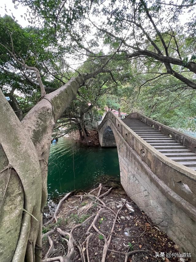 游流溪河森林公园