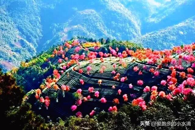 无量山:金庸笔下的秘境与现实中的桃源