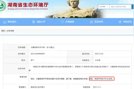 这条高铁，为何湘赣两省砸锅卖铁也要建？图片