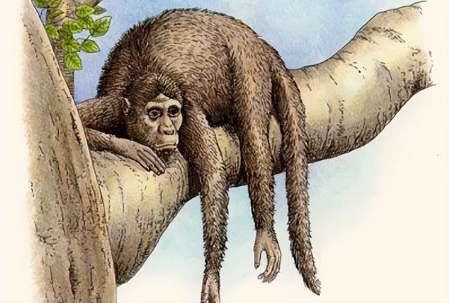 中国人为啥对酸味又爱又恨？一文讲清楚这背后的亿年演化历史