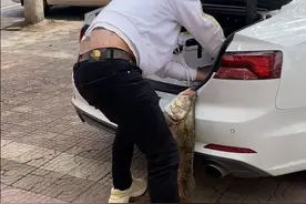 浙江一男子钓获大鳜鱼，把鱼挂车尾慢慢开回家，这次被他装到了图片