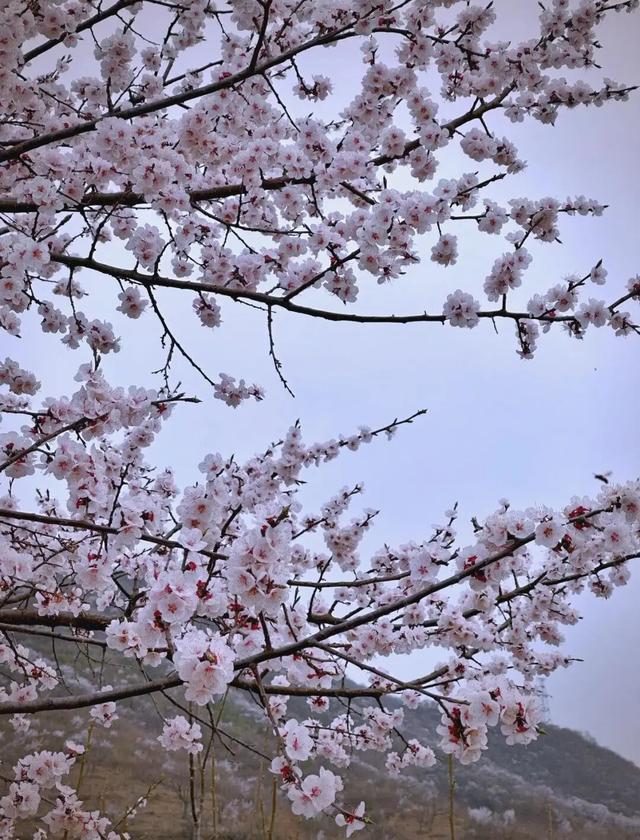 地理冷知识———秦皇岛