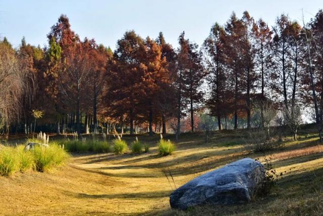 要火！太出片了！阜阳这里竟美到窒息，很多人不知道，赶紧去！多图拍下！