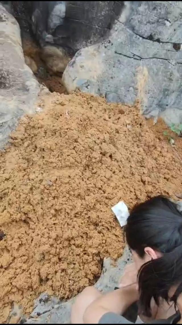 贵州49岁女子务农遭杀害被抛尸于石缝，被害人儿子：嫌犯装作无事发生来我家吃饭！