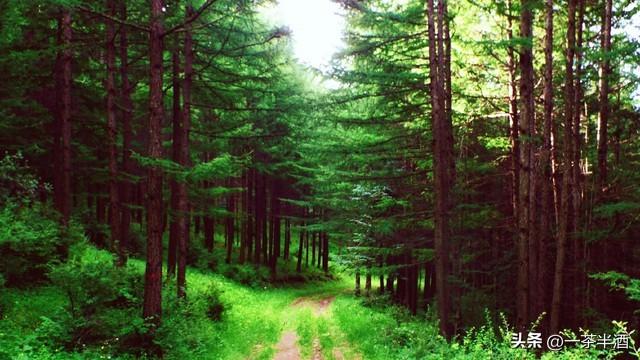 线路推荐！6天自驾连云港轻松游，景点美食免费营地深度联动