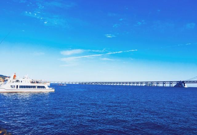 大连这回美到全国都知道了！