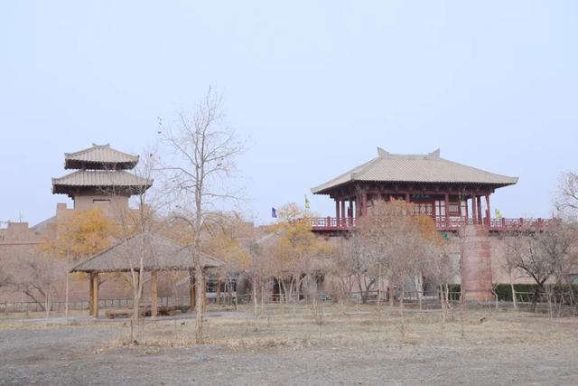 阳关博物馆开展“全域无垃圾”环境卫生整治专项活动