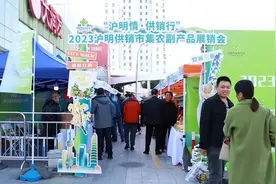 建宁莲子、三明笋干……这些土特产在2023沪明供销市集农副产品展销会上实力“圈粉”图片