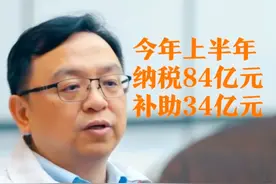 比亚迪纳税84亿元，获政府补助34亿，上汽19亿，广汽和长城呢？图片