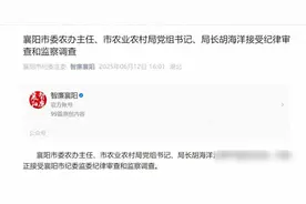 襄阳农业局长被查，千万资金去向成谜，村民：这事儿早该查了图片