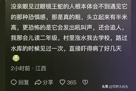 原来这种草堆是眼镜王蛇的老巢!遇上一定要赶紧跑,网友:它猛追人图片