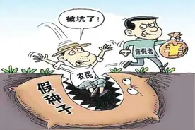 山东“某沂”地区，苗木之乱象丛生，谁来拯救？图片