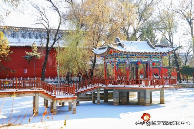 冬天就要有冬天的样子，不去一次临夏怎么知道冬天的美？