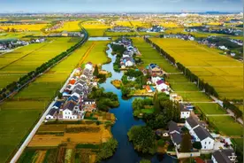 真·鱼米之乡！这些苏州美味入选“国字号”！图片