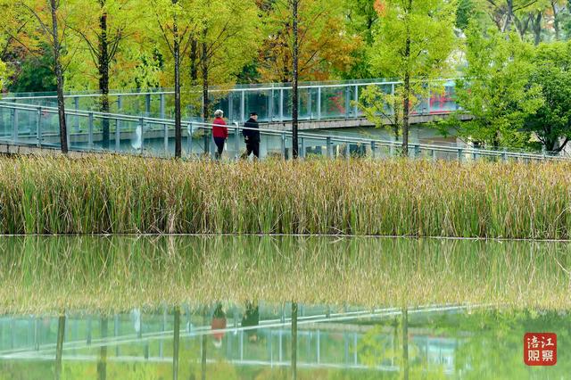初冬时节，层林尽染，心随景动