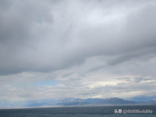 新疆明珠——赛里木湖