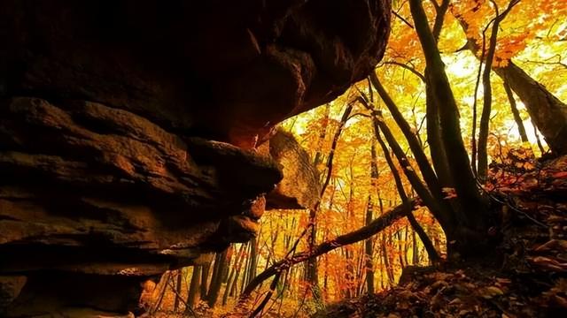 氛围感拉满！集安的秋天，藏着最治愈的人间烟火