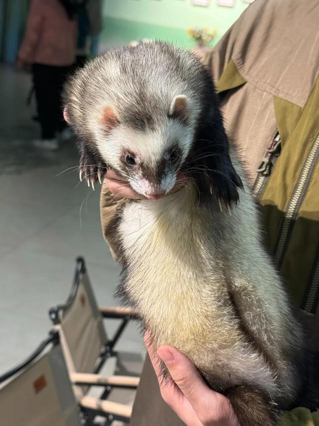 看渝超，逛两江！两江新区景区5折优惠来袭→