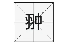 “翀”字怎么读，又是什么意思呢？用于取名时有什么寓意？图片