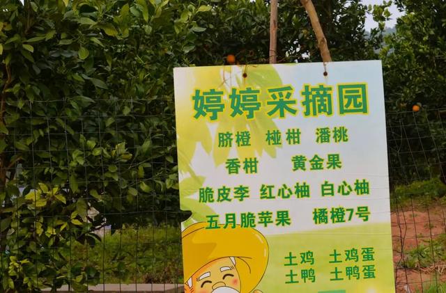 这周末就去！金堂这条徒步线路爆火！