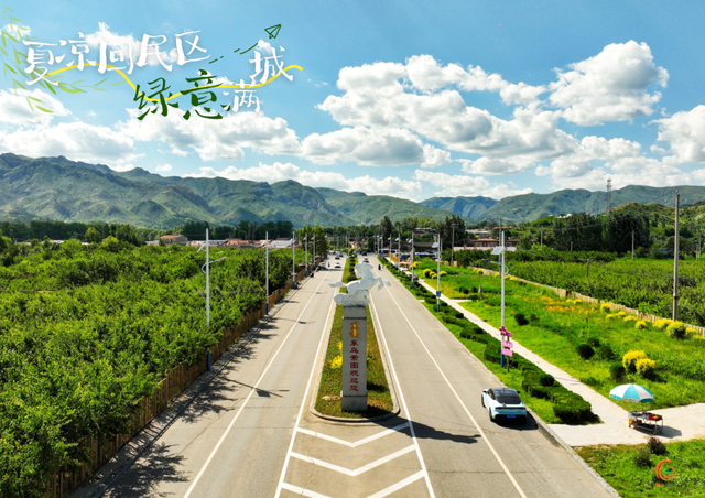 高清大图！回民区的夏天，是“植”得N刷的绿！