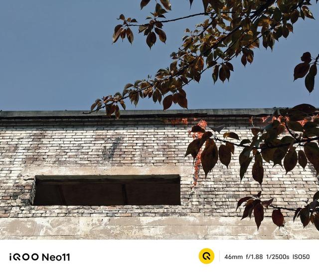 iQOO Neo11测评，一杯即满配，没有大杯我就是大杯