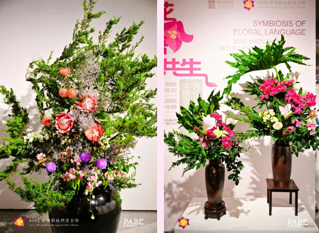 挤爆了！今天莲花山都是人人人，网友：感觉全深圳都来了！