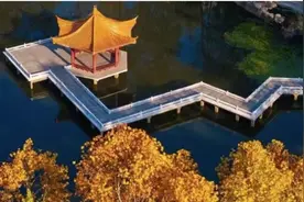 优秀“接力”！他们是华科大“研三标”！图片