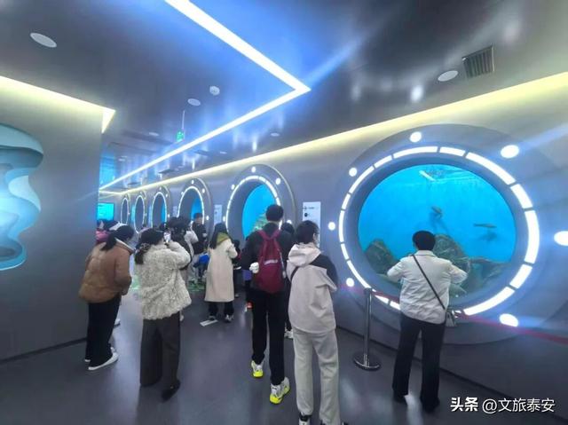 开年遛娃首选！东平湖流浪水世界暖冬亲子奇遇季，全家欢乐新去处！