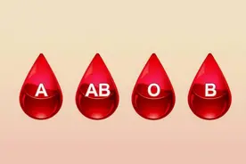 A型、B型、O型、AB型，哪种血型的人最健康？血型决定性格？图片