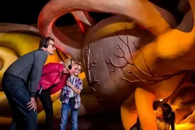 荷兰“重口味”博物馆，内部人体结构逼真，6岁以下禁止进入图片