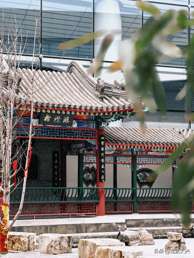 大兴初雪倒计时！5个宝藏赏雪点位，提前收藏——