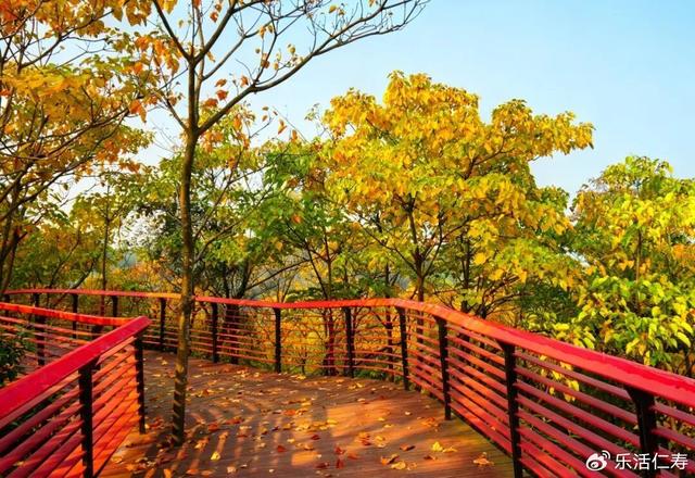 除了“YYDS”，我们还可以这样夸仁寿