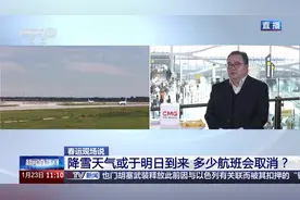 春运期间提前多久到机场？携带行李有哪些要注意？一组问答帮你无忧飞回家图片