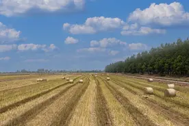 有人说农民土地是国家的，这种说法不对，农民土地是农民开垦的图片