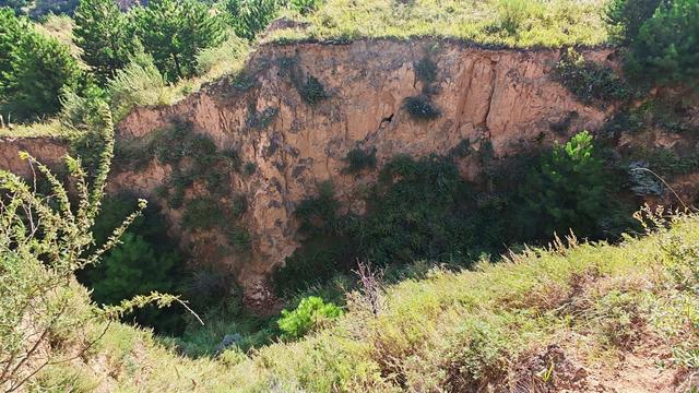 山西深度游—山阴广武明长城