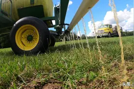 日常液体不为人知的秘密，尿液和淘米水混合后会发生什么？图片