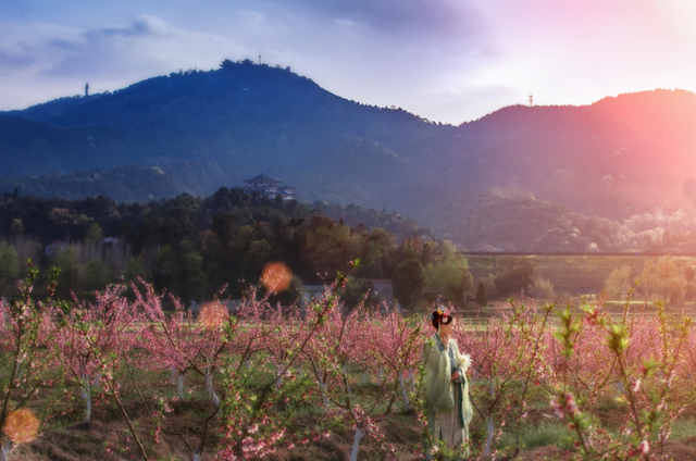 看不完，根本看不完！