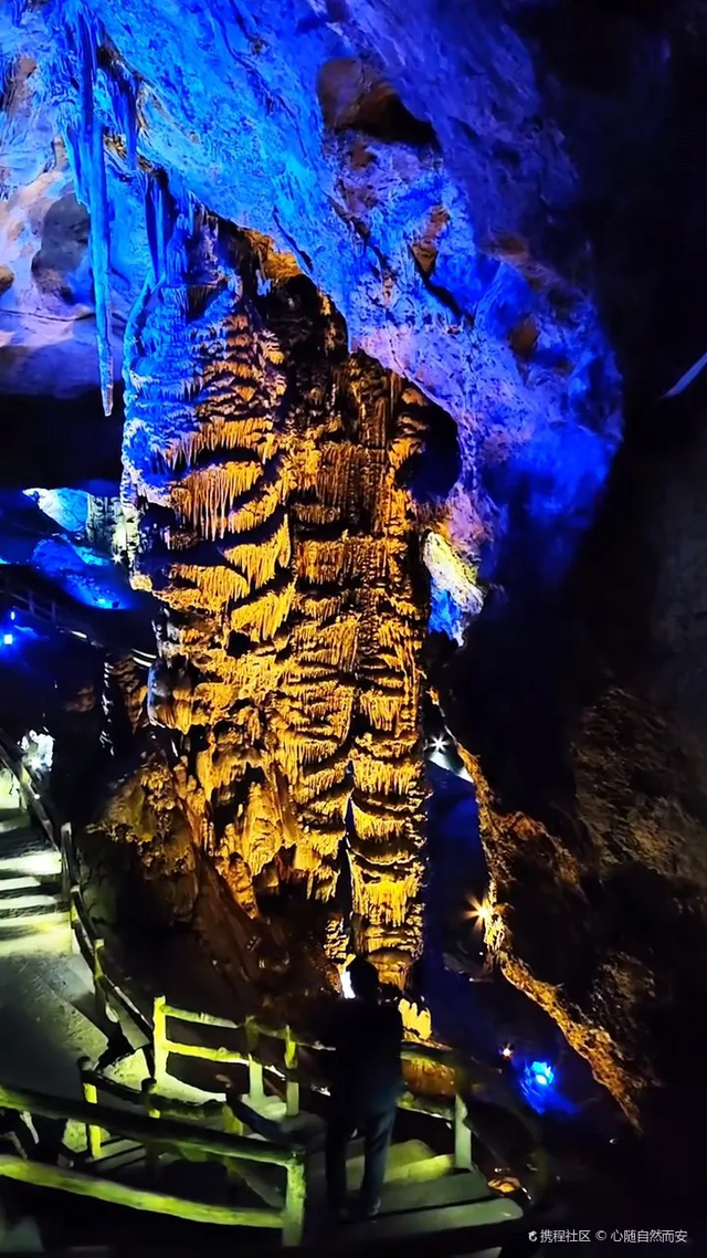 别等春天！陇南的冬日密语里，藏着限定版春日烂漫